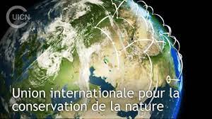 union internationale pour la conservation de la nature